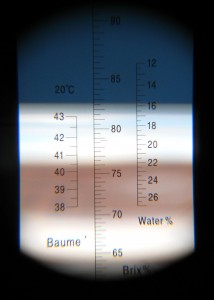 Blick durchs Refraktometer. 15,8% Wassergehalt in unserem Honig. Ein top Wert!