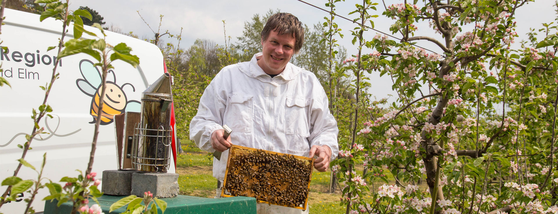 Bienen mitten in der Obstplantage